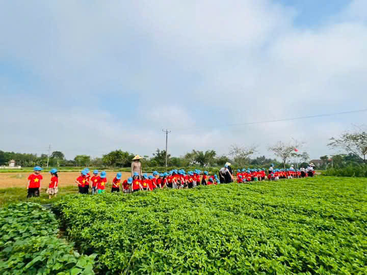 Cánh đồng lạc