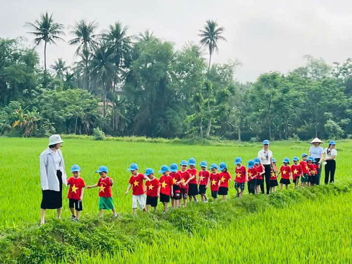 trẻ tham quan cánh đồng lúa
